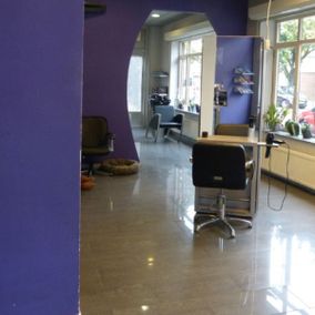 Professionele kapsalon MG haarmode